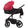 Bebetto Torino Czarny stelaż 07 дитяча коляска