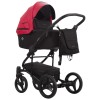 Bebetto Torino Czarny stelaż 07 дитяча коляска