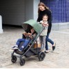 UPPAbaby CRUZ V2 Emmett  прогулянкова коляска