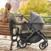UPPAbaby люлька Vista V2/Cruz V2 Greyson