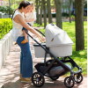 UPPAbaby люлька Vista V2/Cruz V2 Anthony