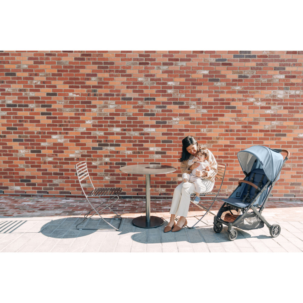 UPPAbaby Minu V2 прогулянкова коляска Charlotte UPPAbaby Minu V2 прогулянкова коляска Charlotte