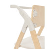 Carrello Ergo CRL-16701 - стільчик для годування, шезлонг для немовля, навчальна вежа до 75 кг, дитячий стільчик (дуга з м’якими іграшками, регульована підніжка) • Obsidian Black