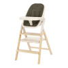 Carrello Ergo CRL-16701 - стільчик для годування, шезлонг для немовля, навчальна вежа до 75 кг, дитячий стільчик (дуга з м’якими іграшками, регульована підніжка) • Pine Green