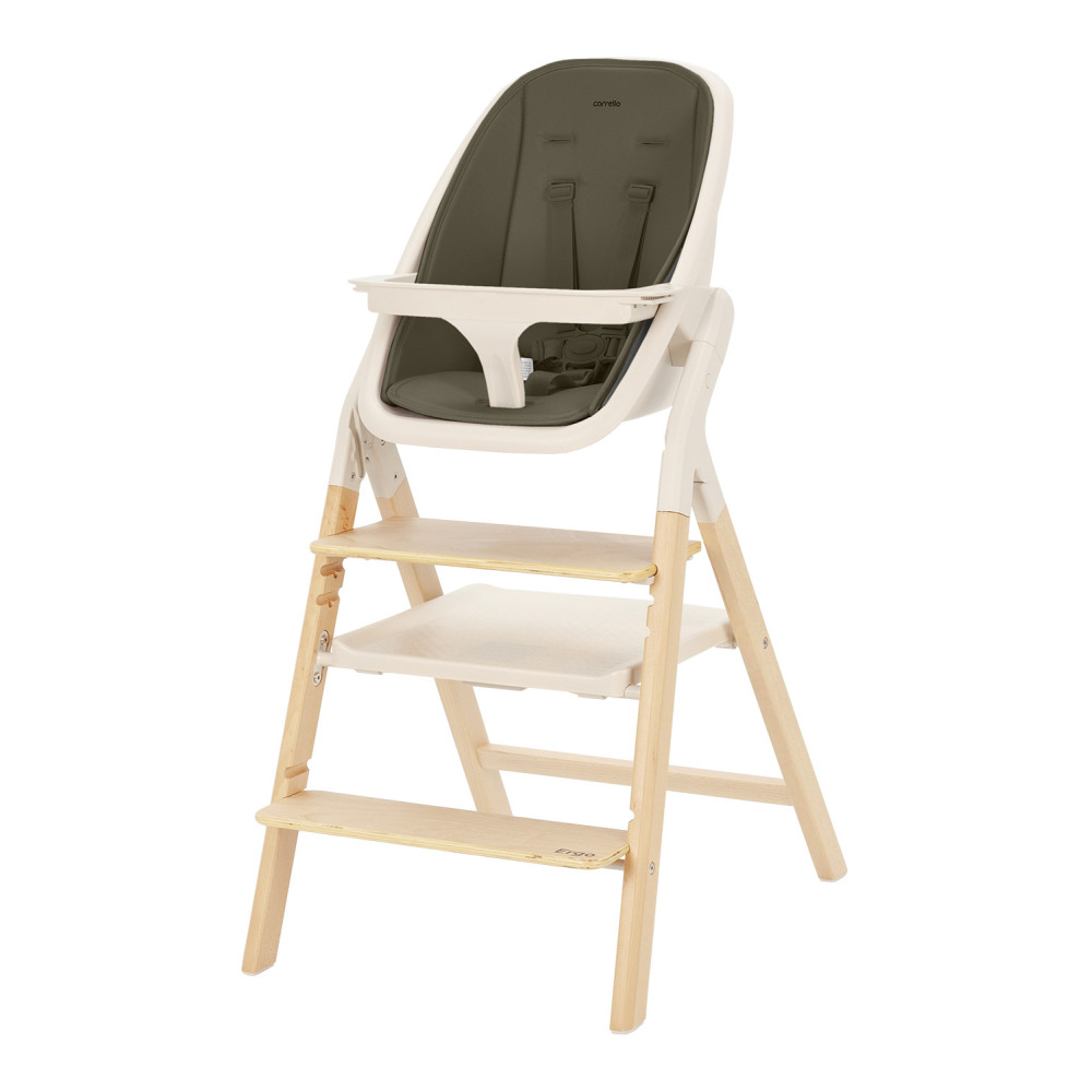 Carrello Ergo CRL-16701 - стільчик для годування, шезлонг для немовля, навчальна вежа до 75 кг, дитячий стільчик (дуга з м’якими іграшками, регульована підніжка) • Pine Green