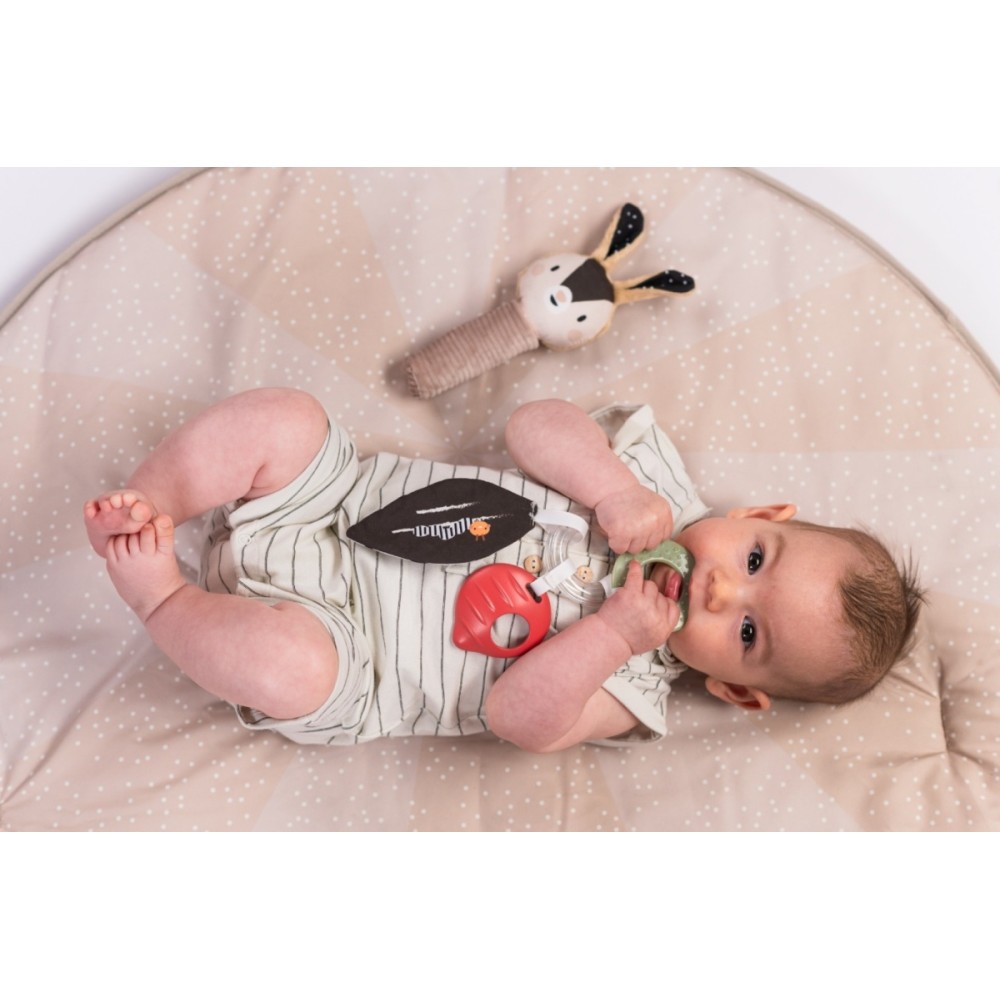 Taf Toys Zestaw Sensoryczny Czarno-Biały dla Noworodkówa