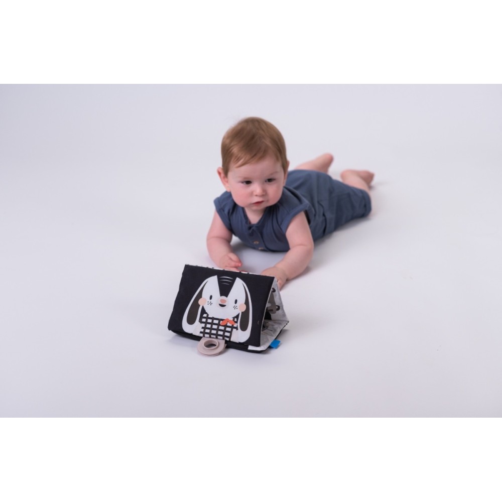 Taf Toys Zestaw Sensoryczny Czarno-Biały dla Noworodkówa