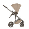 Anex Eli - wózek dziecięcy 2w1 • Gato