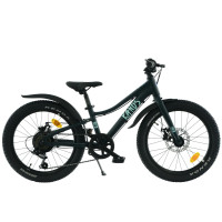Kands Nico 20“  - rower dla dziecka (5–8 lat / 115–135 cm), niska rama 10 cali, lekki aluminiowy, koła 20 cali • Ciemnozielony