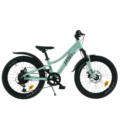 Kands Nico AM 20“ - rower dla dziecka z amortyzacją (5–8 lat / 115–135 cm), niska rama 10 cali, koła 20 cali • Miętowy mat