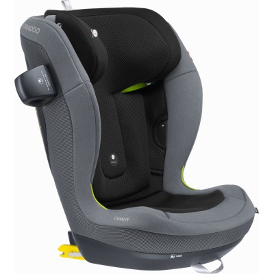 Swandoo Charlie - дитяче автокрісло i-Size (3,5-12роки / 100-150см) • Graceful Grey