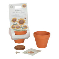 Little Dutch - соняшник для самостійного вирощування (LD9130) • 3 роки+