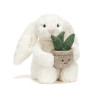 Jellycat - króliczek z aloesem w doniczce (BB3PLA) • od urodzenia