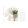 Jellycat - króliczek z aloesem w doniczce (BB3PLA) • od urodzenia