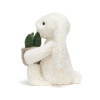 Jellycat - króliczek z aloesem w doniczce (BB3PLA) • od urodzenia