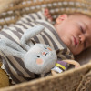 Taf Toys - grzechotka króliczek Rylee z drewnianym kółkiem (13025) • 0 mc+