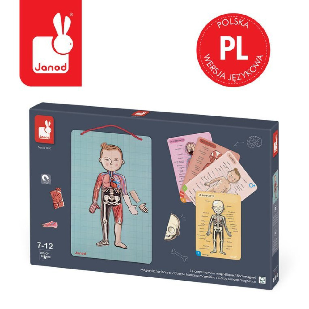 Janod - magnetyczna układanka Ciało człowieka (J05491) • 7-12 lat