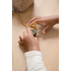 Little Dutch - nawlekanka Little Farm (125612) • 3 lata+