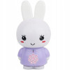 Alilo - króliczek Honey Bunny G6, odtwarzacz MP3 (G6) • Fioletowy