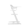 Cybex Iris 3-in-1 - wysokie krzesełko z drewna bukowego z Baby Setem i tacką, od 6. miesiąca życia • All White