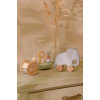 Little Dutch - drewniany zestaw prezentowy Safari Friends (LD7456) • 1 rok+