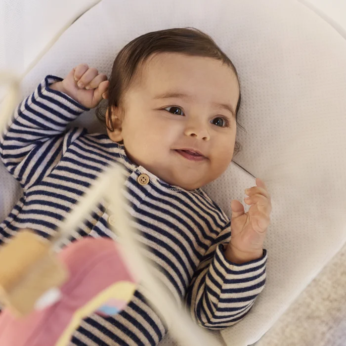 Chicco Baby Hug Armonia 4w1 Mother Pearl
