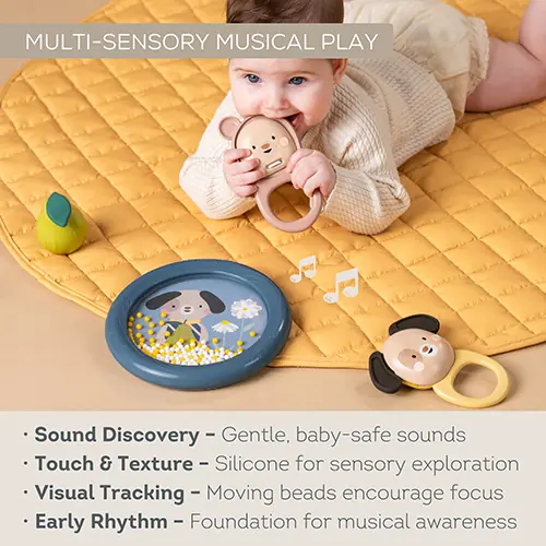 Taf Toys zestaw muzyczny Odkrywanie muzyki (13875)